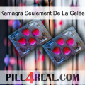 Kamagra Seulement De La Gelée 14
